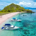 Komodo Tour