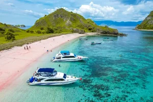 Komodo Tour